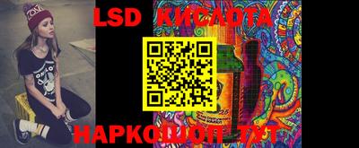 бошки Новодвинск