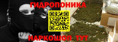 бошки Новодвинск