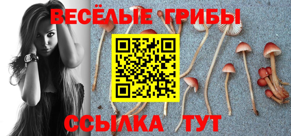 Соль-Илецк  Псилоцибиновые грибы MAGIC MUSHROOMS  Вход с VPN  Галлюциногенные грибы Psilocybe 